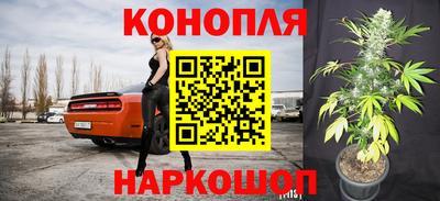 прущие грибы Малгобек