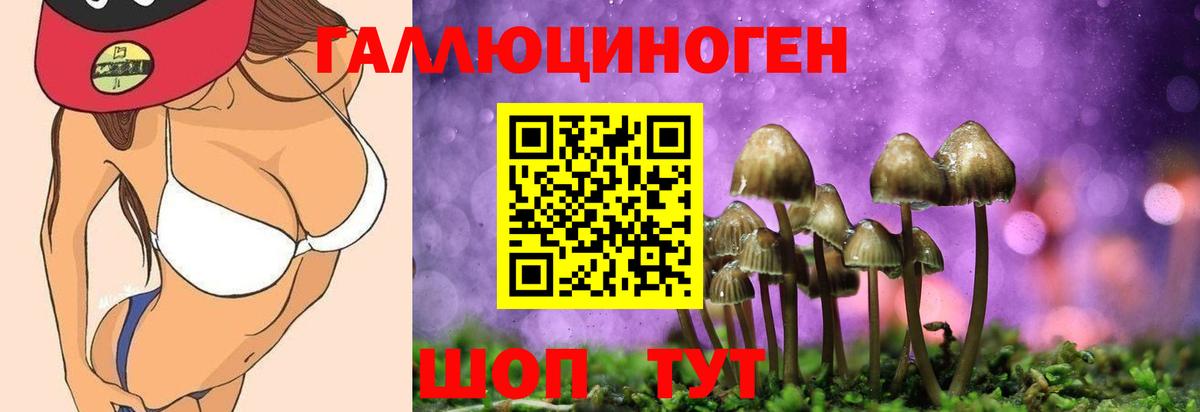 Улан-Удэ  Псилоцибиновые грибы Cubensis  Вход с VPN  Галлюциногенные грибы Magic Shrooms 
